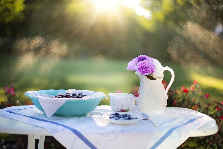 blueberry, breakfast, sunlight