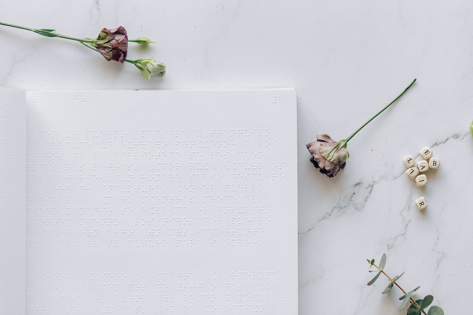 a braille book and dry flowers on the table