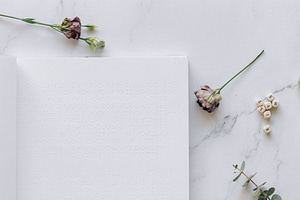 a braille book and dry flowers on the table